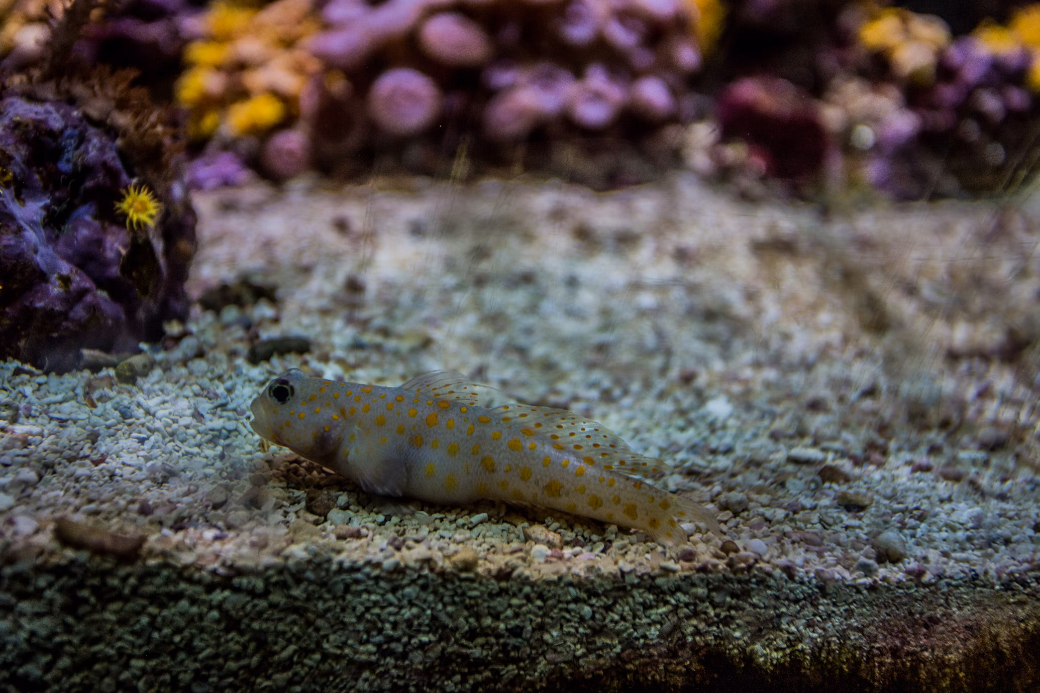 Im Rhythmus des Wassers – Wie Amphibien unser Inneres berühren 1 Im Rhythmus des Wassers – Wie Amphibien unser Inneres berühren -Default Template 4 photo 1581806760591 cb3e318957a9